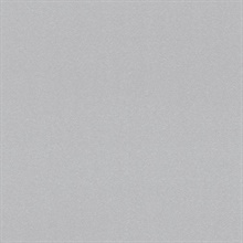 Gray Stardust | 716849