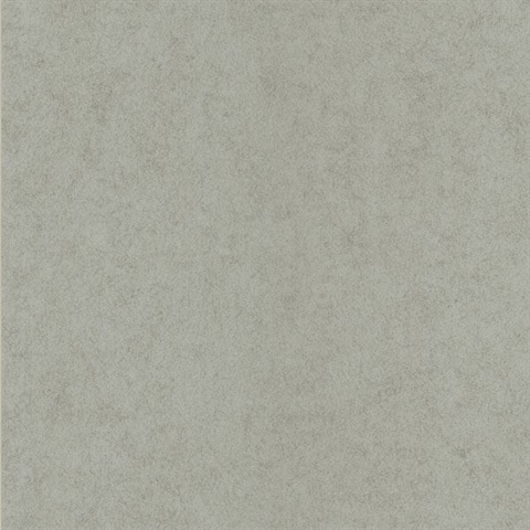 Vellum Silver Air Knife Texture