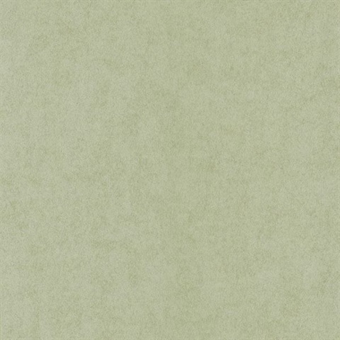 Vellum Light Green Air Kinife Texture