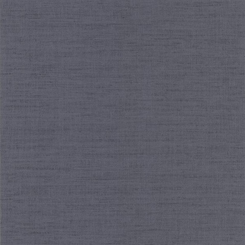 Seda Grey Silk Texture