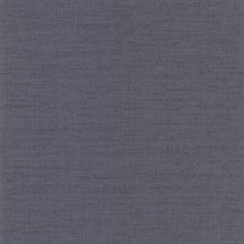 Seda Grey Silk Texture