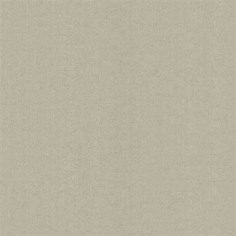 Pana Silver Distressed Stripe Texture