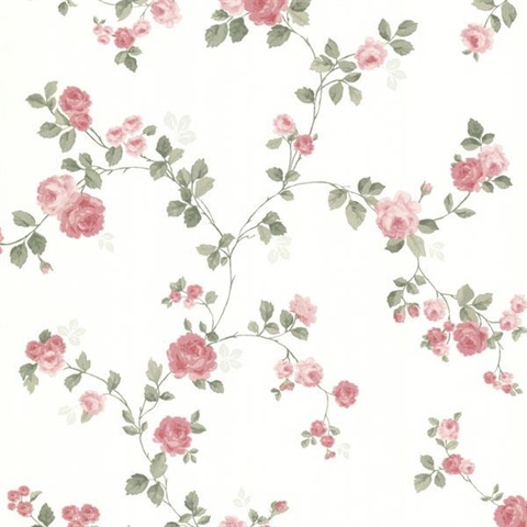 Cornelia Pink Rose Trail