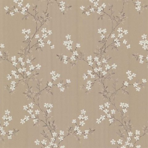Altha Brown Jasmine Trail