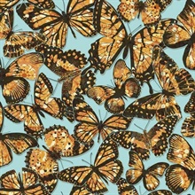 Jeweled Monarch