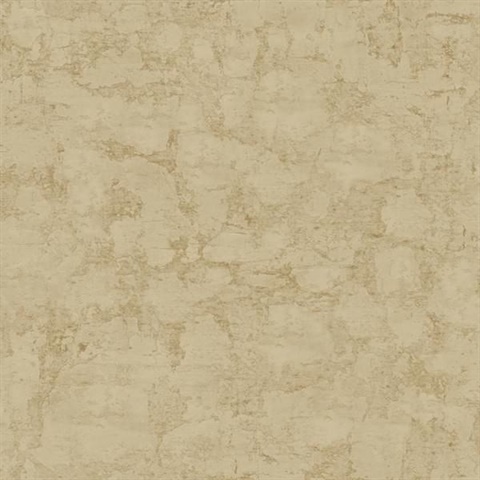 Plaster Texture