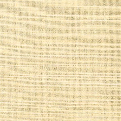 Klaudia Champagne Foil Grasscloth