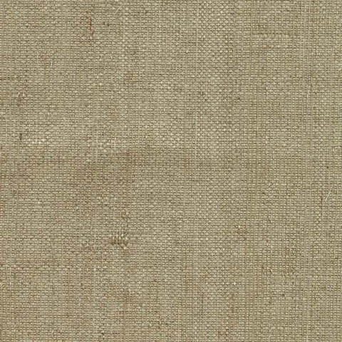 Ruslan Taupe Grasscloth