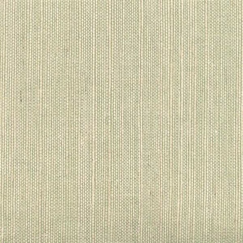 Barbora Light Green Grasscloth