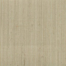 Ruslan Grey Grasscloth