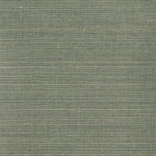 Heisoku Slate Grasscloth