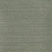 Heisoku Slate Grasscloth