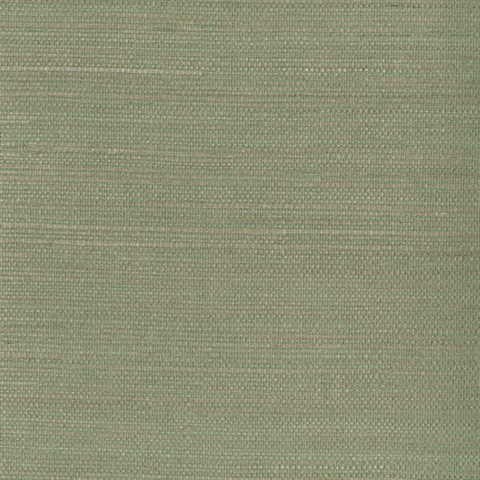 Kenjitsu Mint Grasscloth