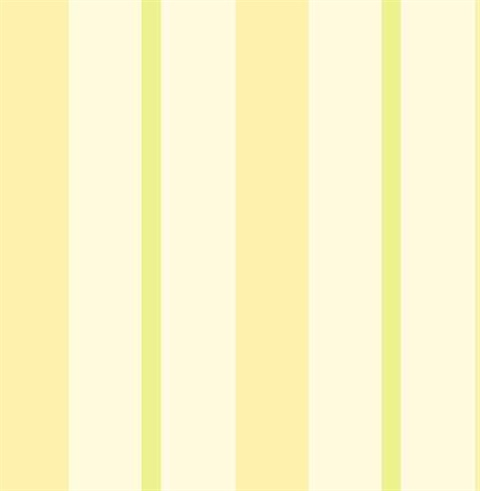 Sunshine Stripe Yellow Stripe