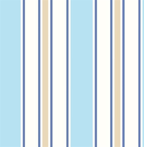 Sunshine Stripe Sky Stripe