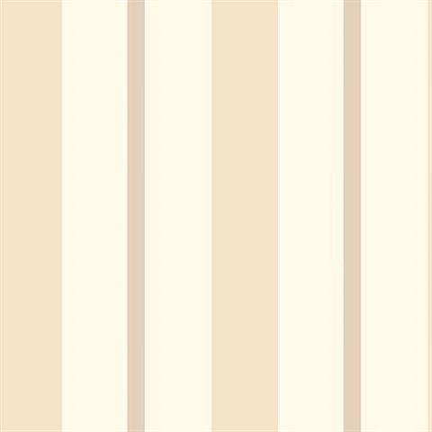 Sunshine Stripe Taupe Stripe