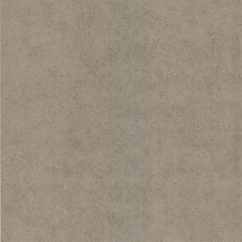 Palladio Taupe Texture