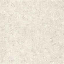 Paolina Light Grey Embossed Large Damask