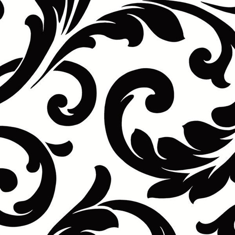 Black & White Scroll