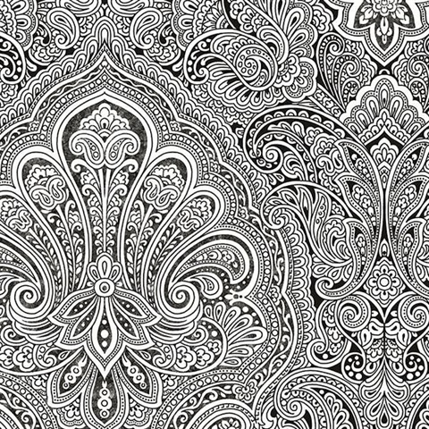 Black & White Paisley