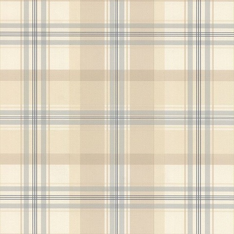 Blue and Brown Plaid