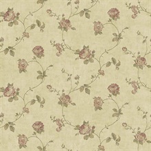 Darby Rose Taupe Trail