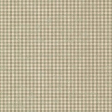 Gingham Green Check
