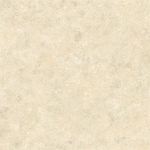 4Walls Cream Texture