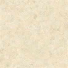 4Walls Cream Texture