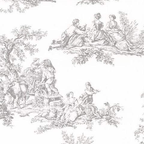 Old Fashioned Toile