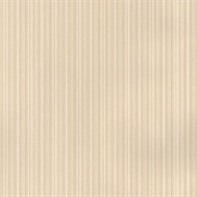 Beige Colored Silk Wavy Texture Background Stock Photo  Download Image Now   Beige Bronze Colored Full Frame  iStock