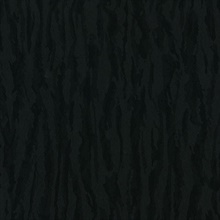 Abstract Zebra Stripe Black Wallpaper