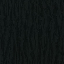Abstract Zebra Stripe Black Wallpaper
