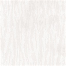 Patton Norwall Abstract Zebra Stripe Pearl White Wallpaper