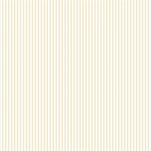 Thin Solid Striped