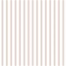 Thin Solid Striped