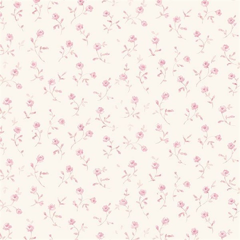 Mini Rose Trail