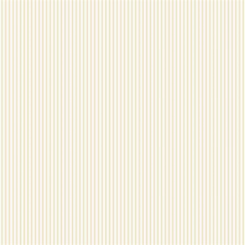 Thin Solid Striped