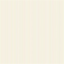 Thin Solid Striped