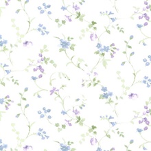 Painted Floral Trail