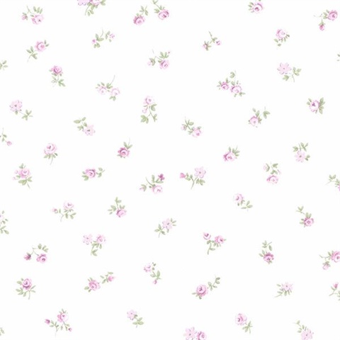 Rose Spot