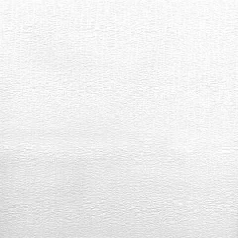 Velour Plush Corduroy Paintable
