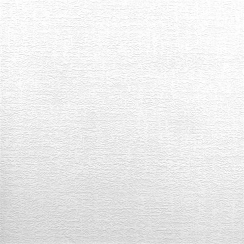 Egg Shell Plaster Texture Paintable