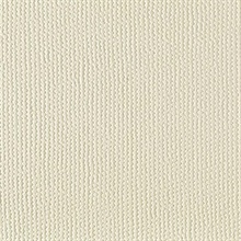 Reptile Texture