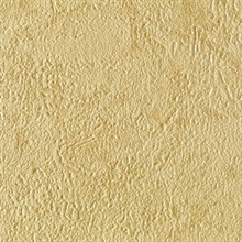 Stucco Texture