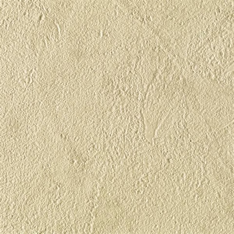 Stucco Texture