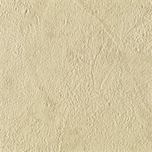 Stucco Texture