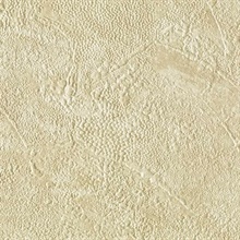 Stucco Texture