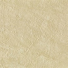 Stucco Texture