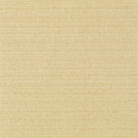 Silk Texture